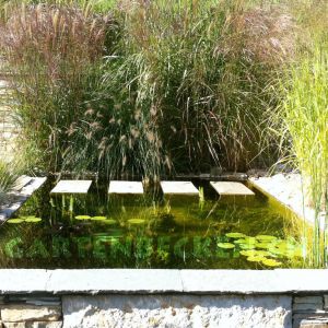 Gartenbecken 026